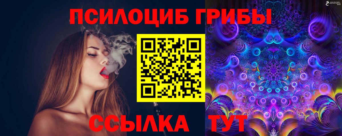 Заволжье  Псилоцибиновые грибы GOLDEN TEACHER  как найти закладки  Псилоцибиновые грибы Cubensis  Вход с VPN 