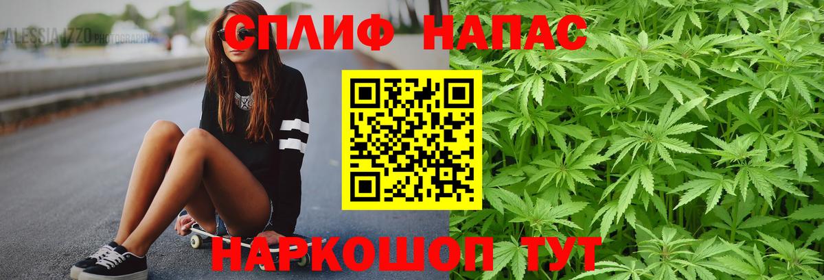 Конопля семена  Конопля ГИДРОПОН  Заволжье  Бошки Шишки Amnesia  Вход с VPN 